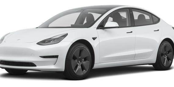 TESLA MODEL 3 2021 5YJ3E1EB5MF858036 image